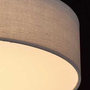 Потолочный LED светильник MW Light Дафна 453011401