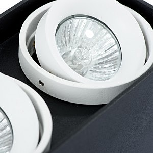 Накладной светильник Arte Lamp Pictor A5655PL-2BK