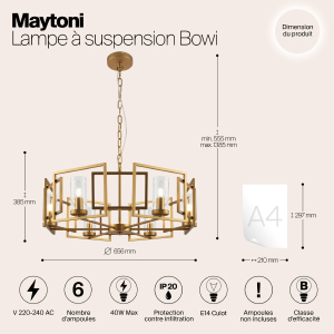 Подвесная люстра Maytoni Bowi H009PL-06G