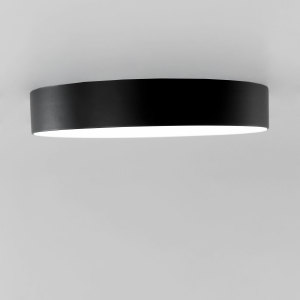Потолочный светодиодный светильник Citilux Тао CL712242N