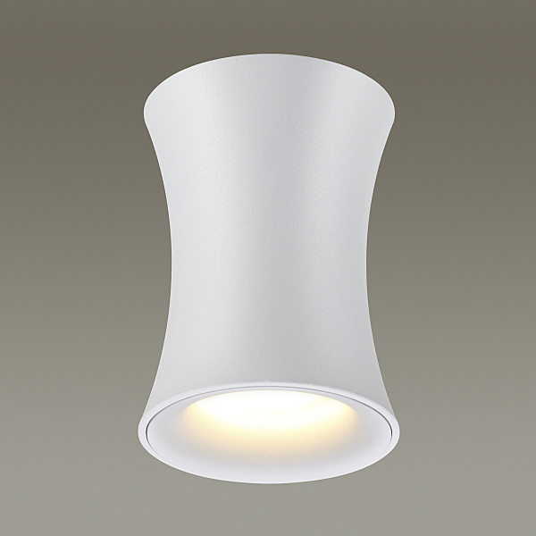 Уличные потолочные Odeon Light Zetta 4271/1C