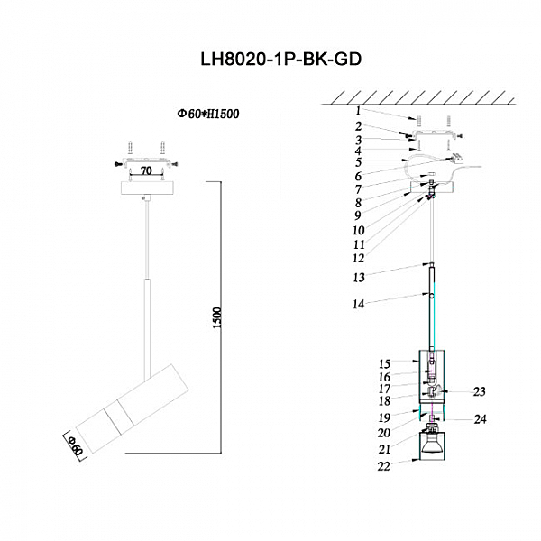 Светильник подвесной Lumien Hall Sauris LH8020/1P-BK-GD