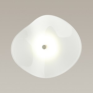 Настенный светильник Odeon Light EXCLUSIVE Fluent 4856/5WL