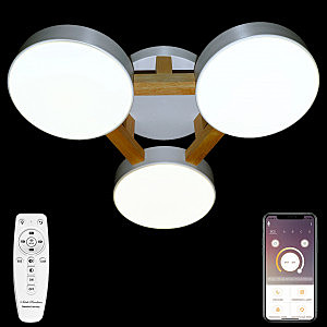 Потолочная люстра Natali Kovaltseva LED LED LAMPS 81327
