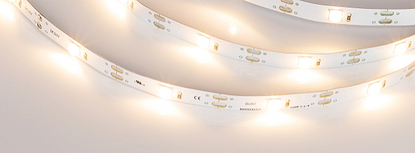LED лента Arlight LENS с линзами 030895