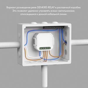 Wi-Fi реле Denkirs Rl1000 RL1004-DM