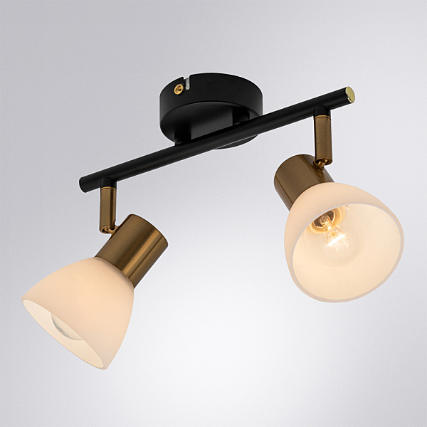 Светильник спот Arte Lamp Falena A3117PL-2BK