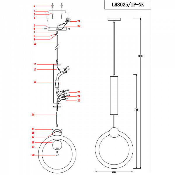 Светильник подвесной Lumien Hall Dorian LH8025/1P-NK