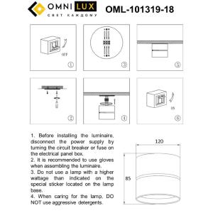 Накладной светильник Omnilux Lenno OML-101319-18
