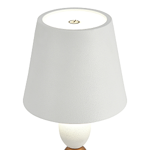 Настольная лампа ST Luce Ease SL1011.514.01