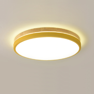Светильник потолочный LIGHTERA Disco LE10743