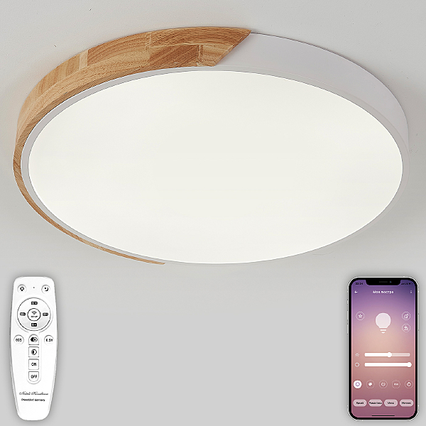 Светильник потолочный Natali Kovaltseva Scandinavian LED LAMPS 81182