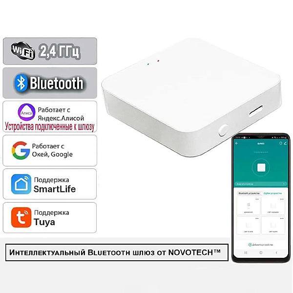 Интеллектуальный Bluetooth-шлюз Tuya Smart Life для умного дома Novotech Glat 359392